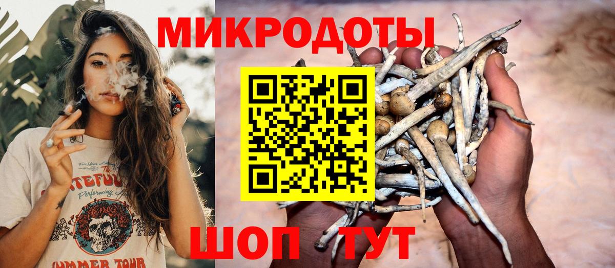 Псилоцибиновые грибы MAGIC MUSHROOMS Обнинск