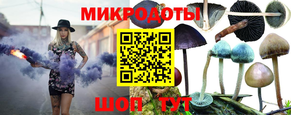 Псилоцибиновые грибы Cubensis  Вход с VPN  Галлюциногенные грибы прущие грибы  Обнинск 